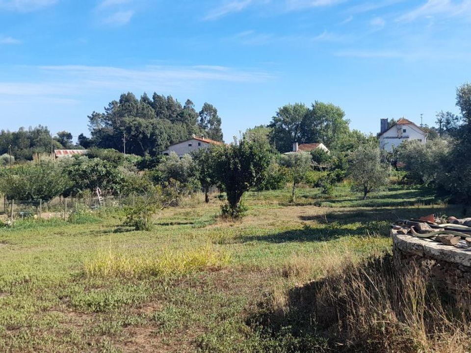Helårsgrund i Ferreira do Zezere, Santarem - foto 1