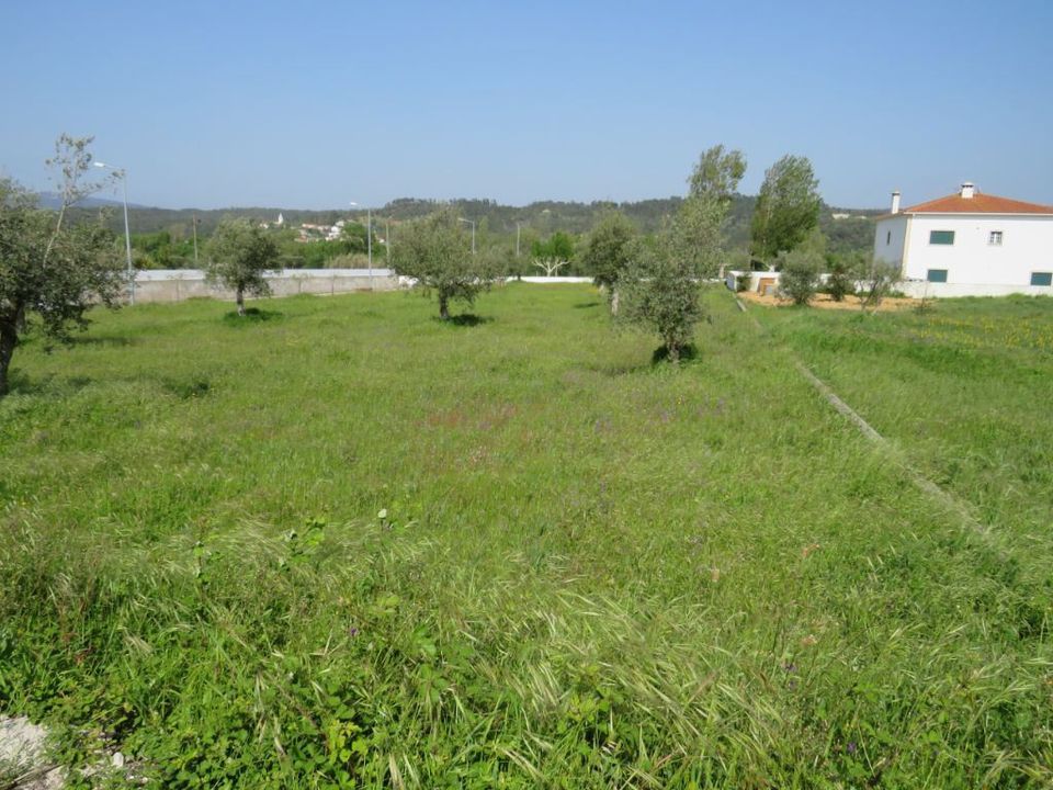 Helårsgrund i Ourem, Santarem - foto 3