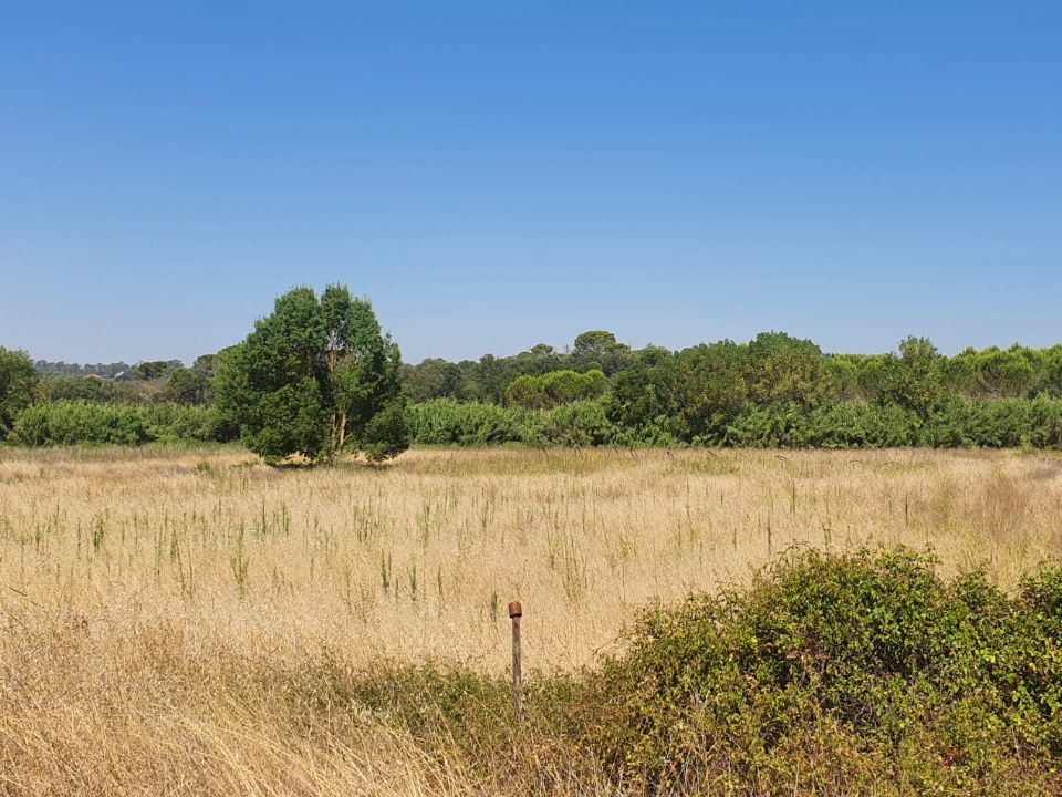 Helårsgrund i Tomar, Santarem - foto 1