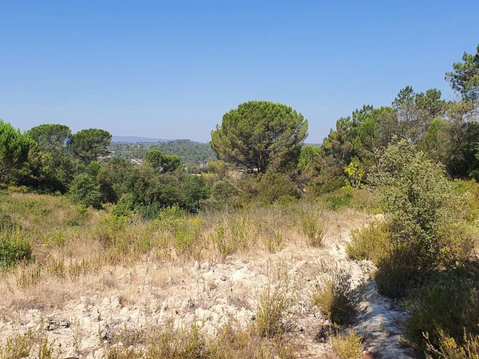 Helårsgrund i Tomar, Santarem - foto 2