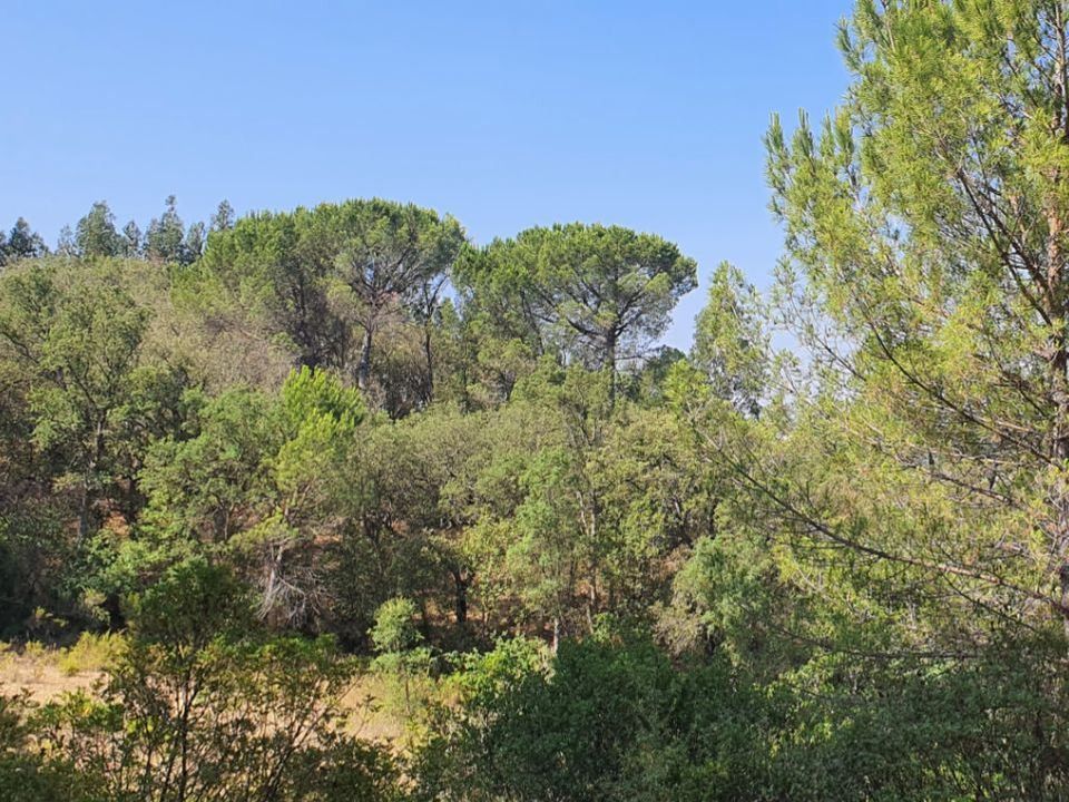 Helårsgrund i Tomar, Santarem - foto 3
