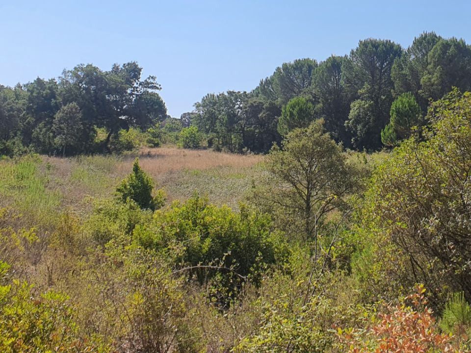 Helårsgrund i Tomar, Santarem - foto 4