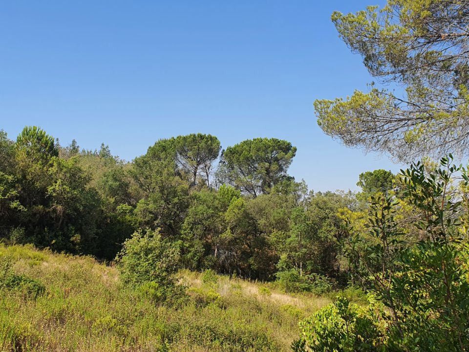 Helårsgrund i Tomar, Santarem - foto 5