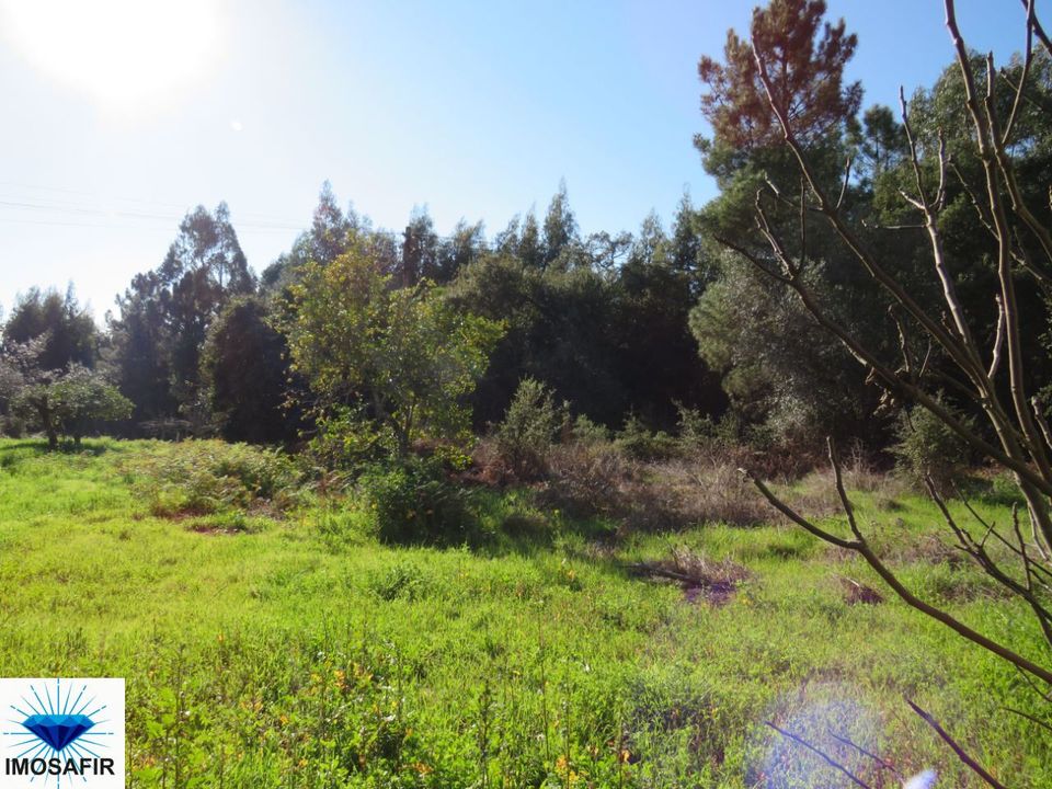 Villa i Ferreira do Zezere, Santarem - foto 5