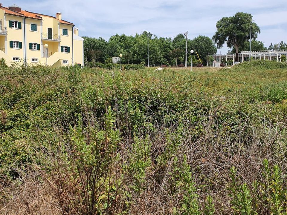 Helårsgrund i Ferreira do Zezere, Santarem - foto 4