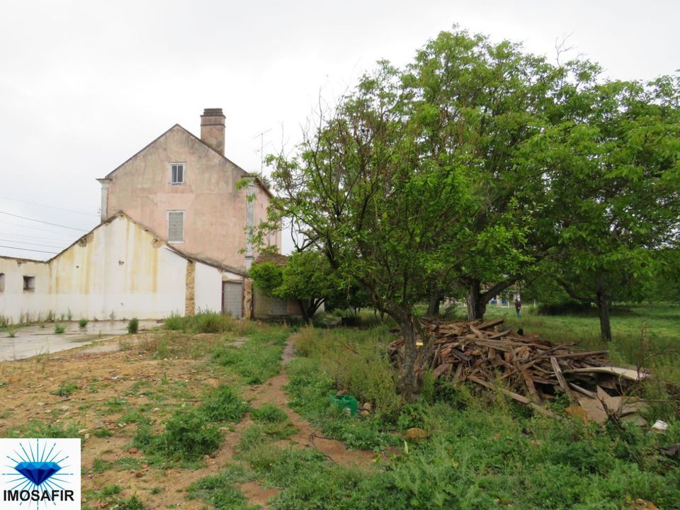 Landejendom i Alcanena, Santarem - foto 4