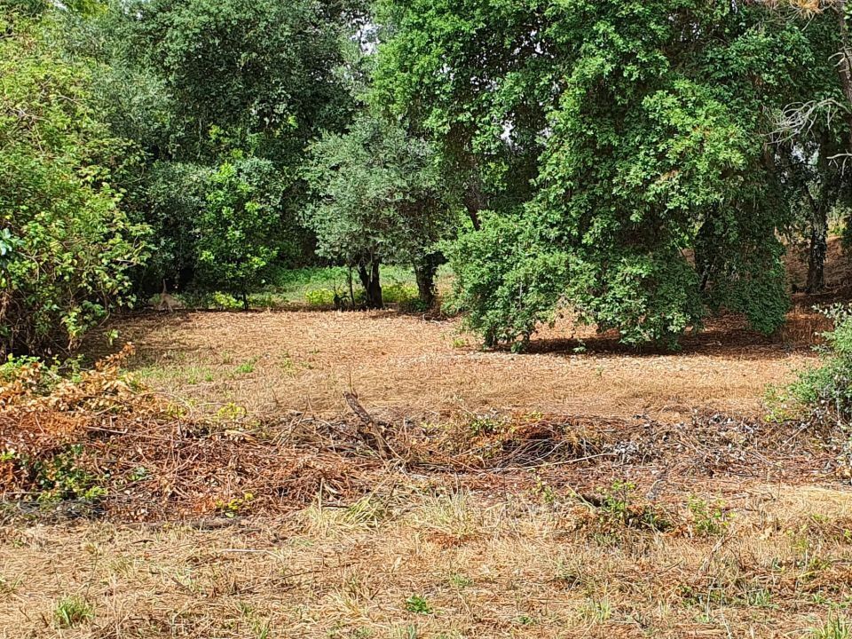 Helårsgrund i Ferreira do Zezere, Santarem - foto 1