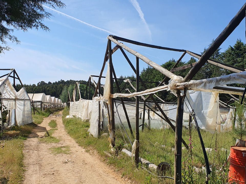 Helårsgrund i Ferreira do Zezere, Santarem - foto 4
