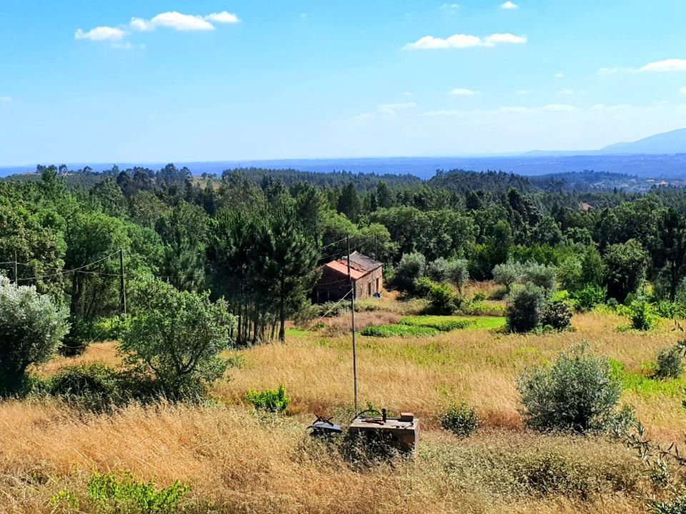 Landejendom i Ferreira do Zezere, Santarem - foto 2