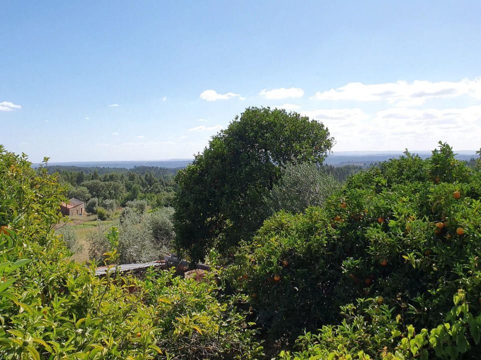Landejendom i Ferreira do Zezere, Santarem - foto 3