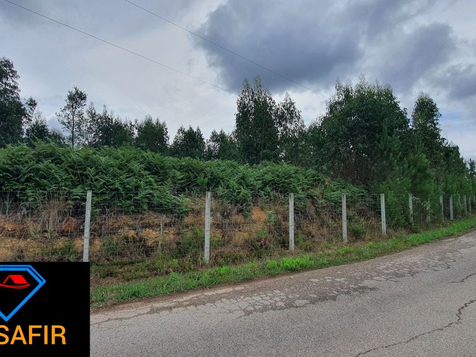 Helårsgrund i Ferreira do Zezere, Santarem - foto 3
