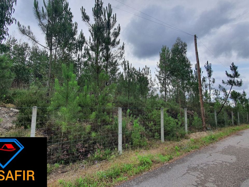 Helårsgrund i Ferreira do Zezere, Santarem - foto 4