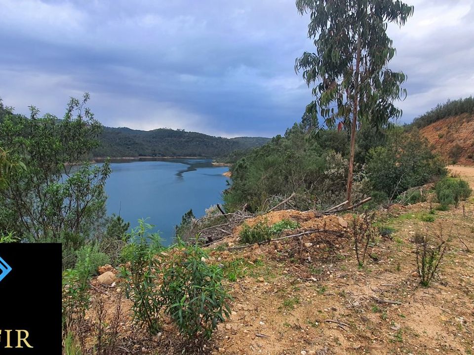Tomt i Vila de Rei, Castelo Branco - bilde 1