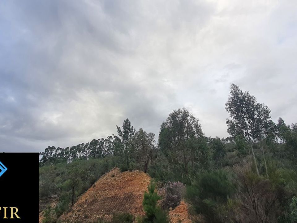 Tomt i Vila de Rei, Castelo Branco - bilde 3