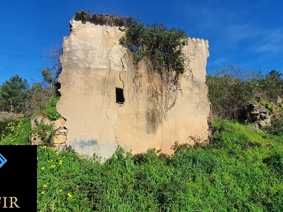 Landejendom i Ferreira do Zezere, Santarem - foto 2