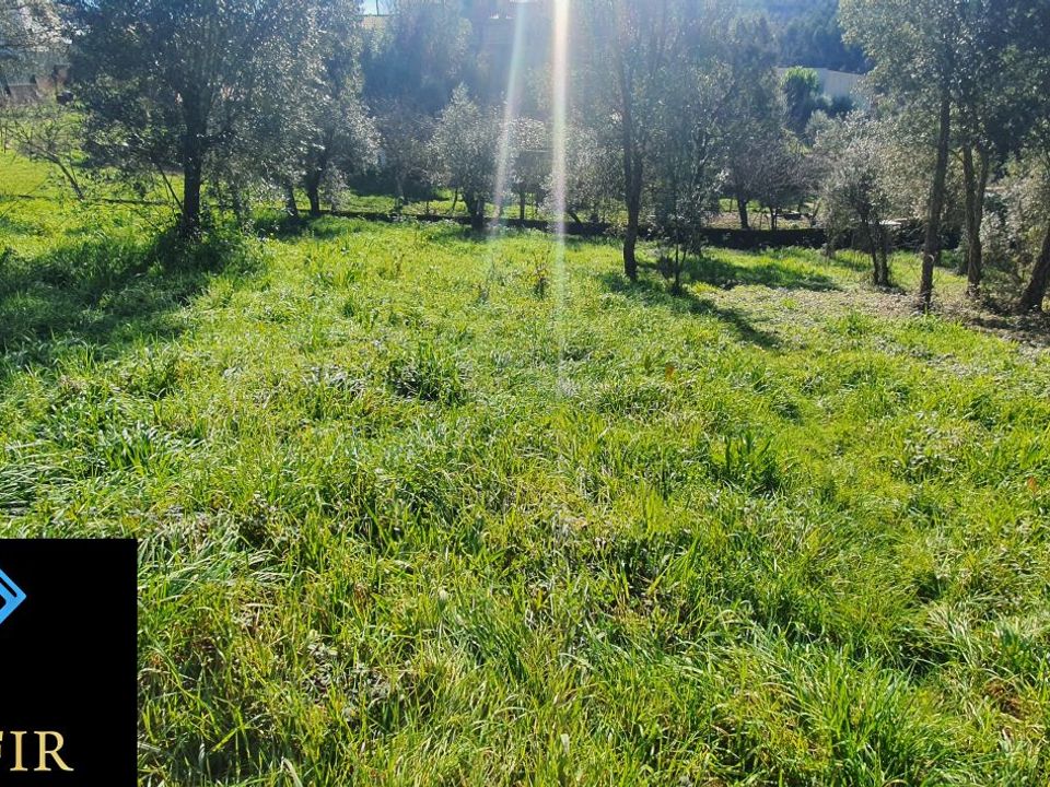 Landejendom i Ferreira do Zezere, Santarem - foto 3