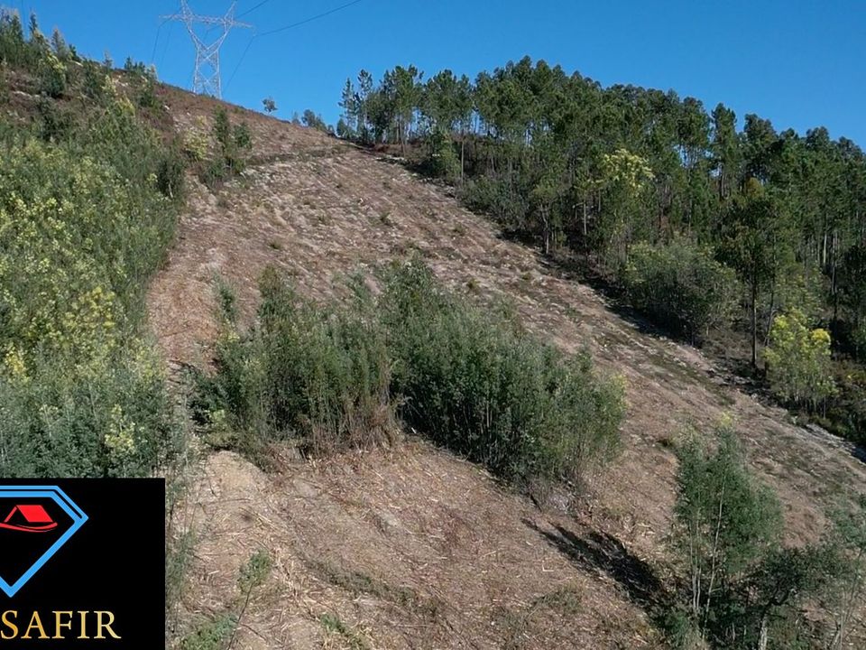 Helårsgrund i Ferreira do Zezere, Santarem - foto 1