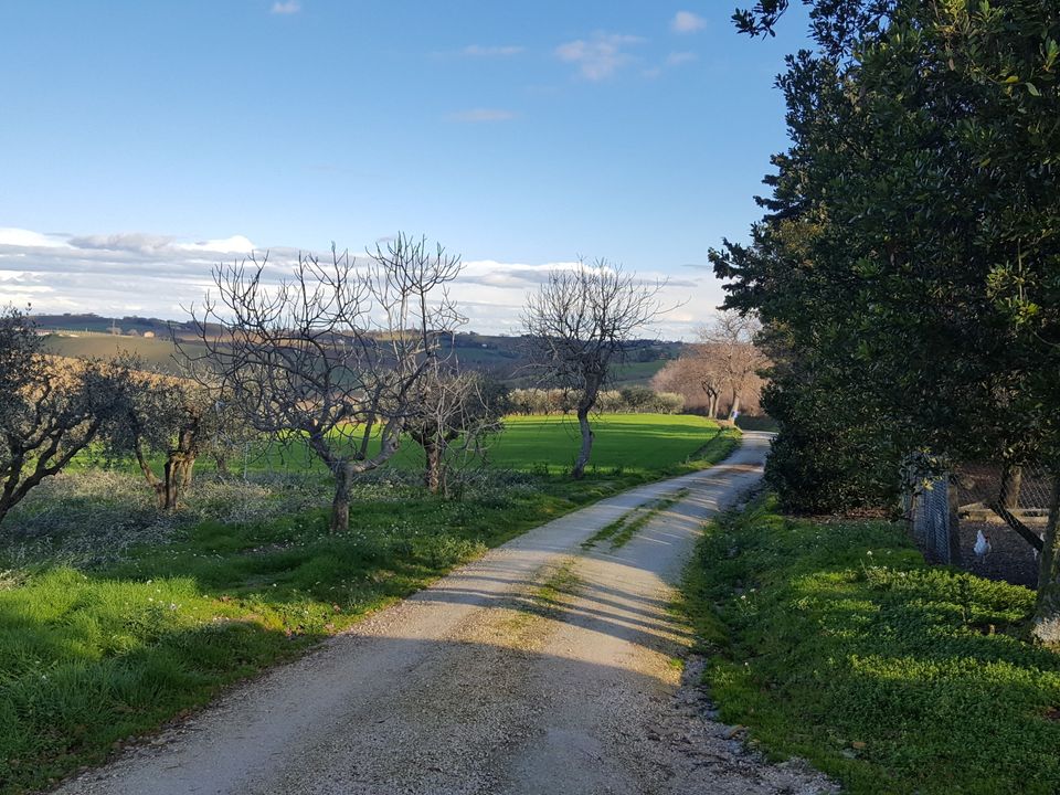 Villa en Senigallia, Ancona - foto 5