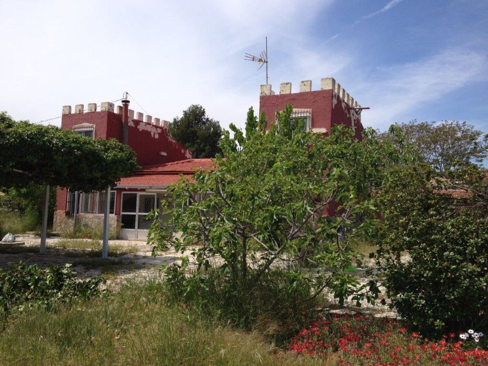 Finca i Sax, Alicante - foto 1
