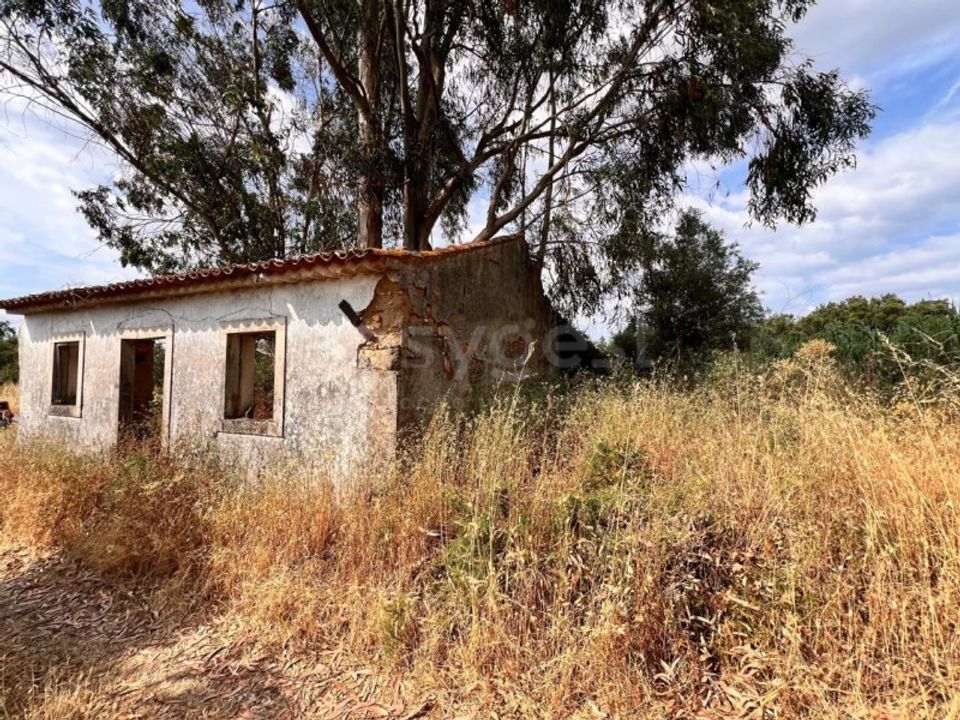 Villa i Tomar, Santarem - foto 4