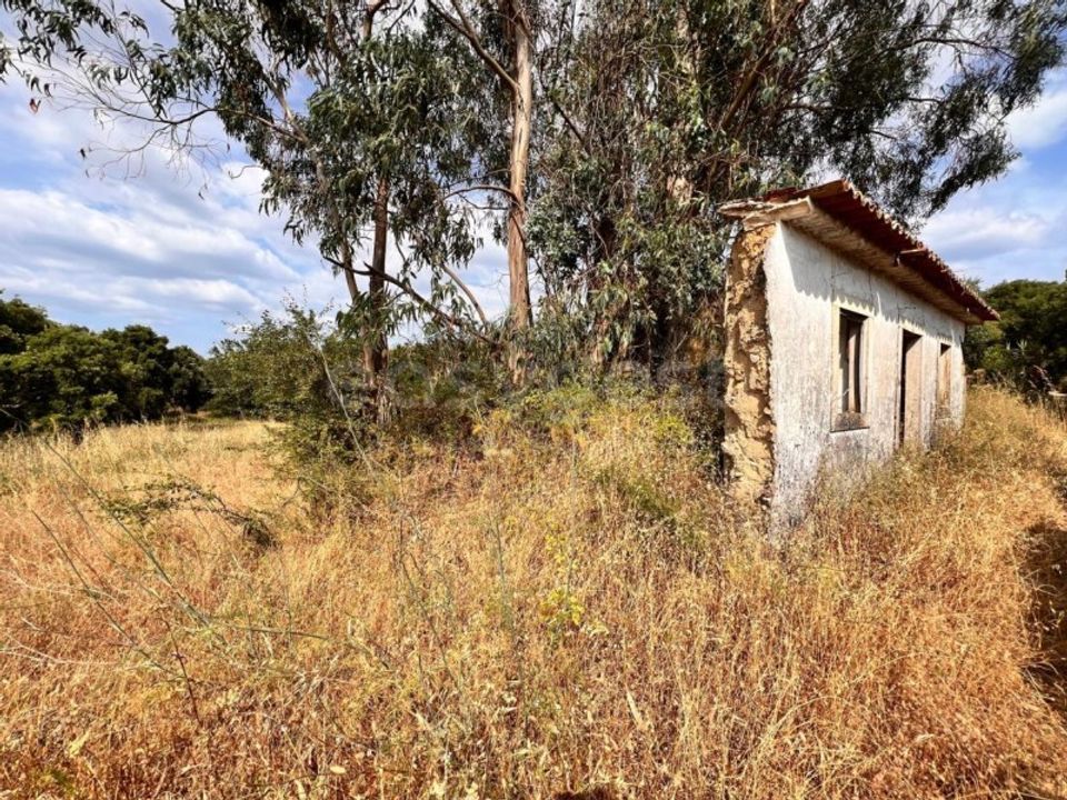 Villa i Tomar, Santarem - foto 5