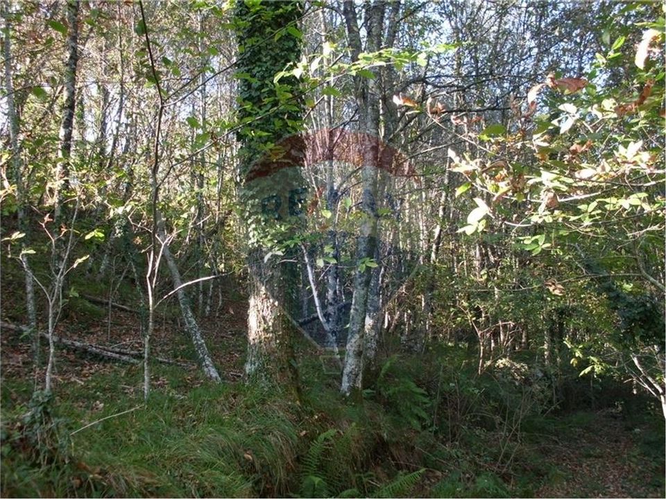 Helårsgrund i Fafe, Braga - foto 2