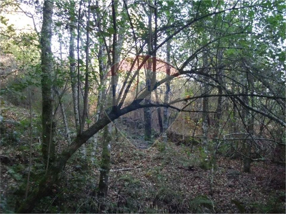Helårsgrund i Fafe, Braga - foto 3