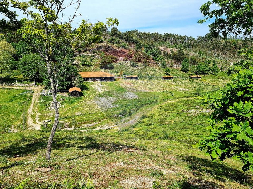 Helårsgrund i Vieira do Minho, Braga - foto 3