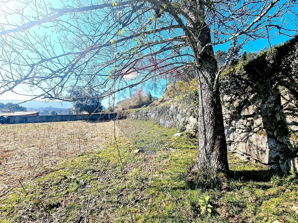 Tomt i Vieira do Minho, Braga - bilde 3