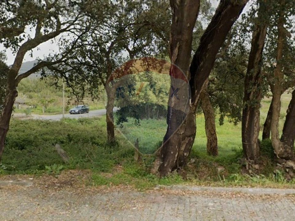 Helårsgrund i Caminha, Viana do Castelo - foto 1