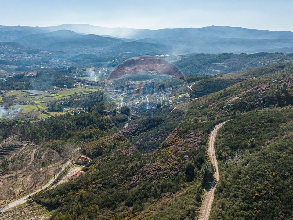 Helårsgrund i Celorico de Basto, Braga - foto 5