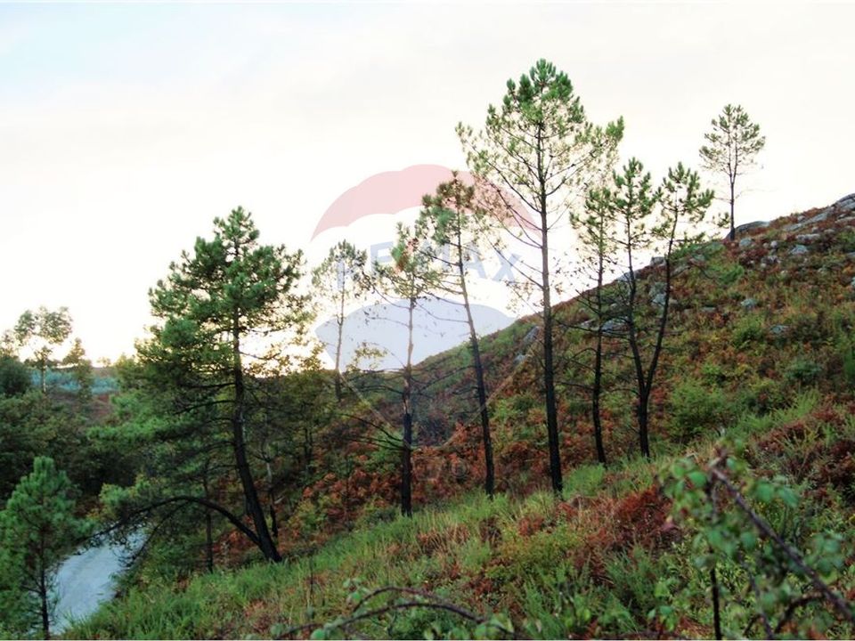 Helårsgrund i Fafe, Braga - foto 1