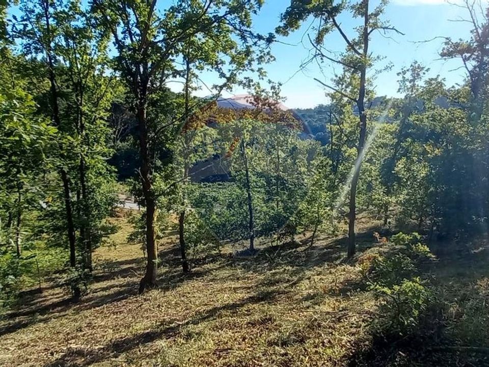 Helårsgrund i Arcos de Valdevez, Viana do Castelo - foto 3