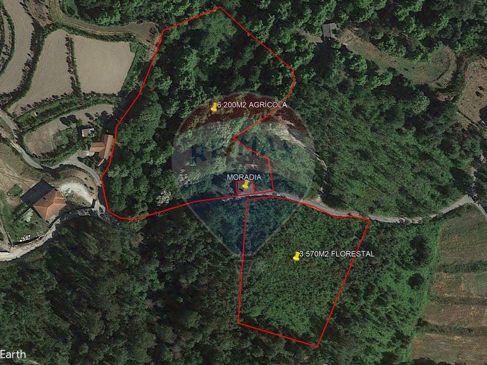 Farm i Celorico de Basto, Braga - foto 5