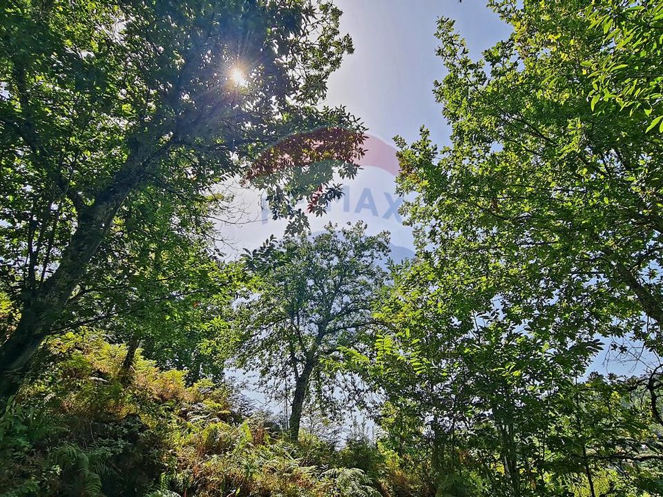 Helårsgrund i Vieira do Minho, Braga - foto 3