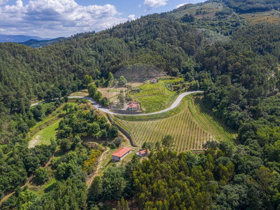 Farm i Celorico de Basto, Braga - foto 1