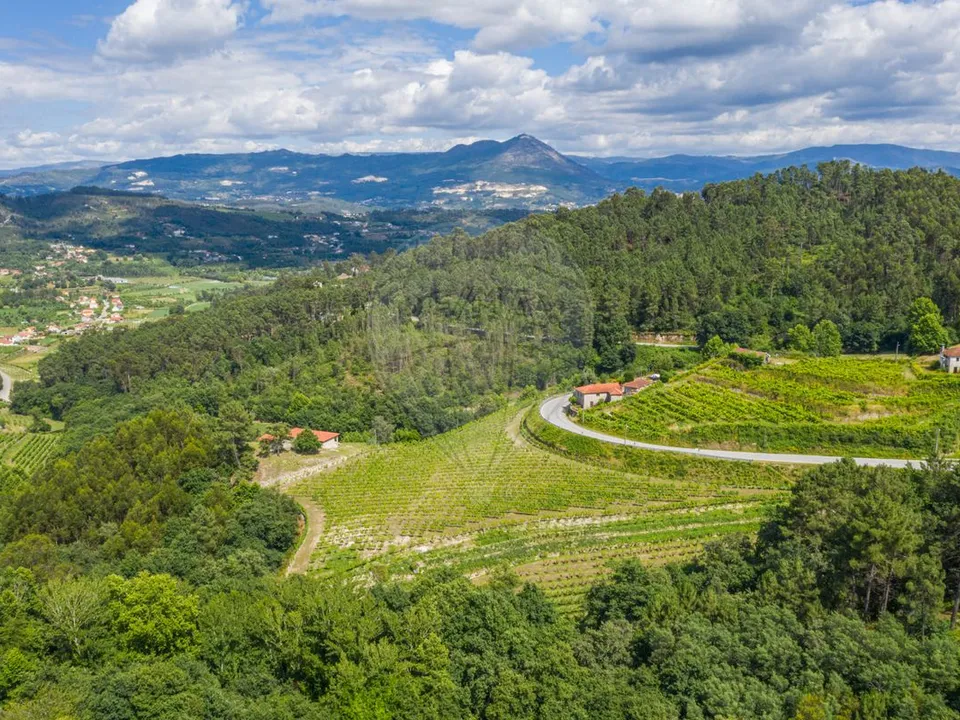 Farm i Celorico de Basto, Braga - foto 3