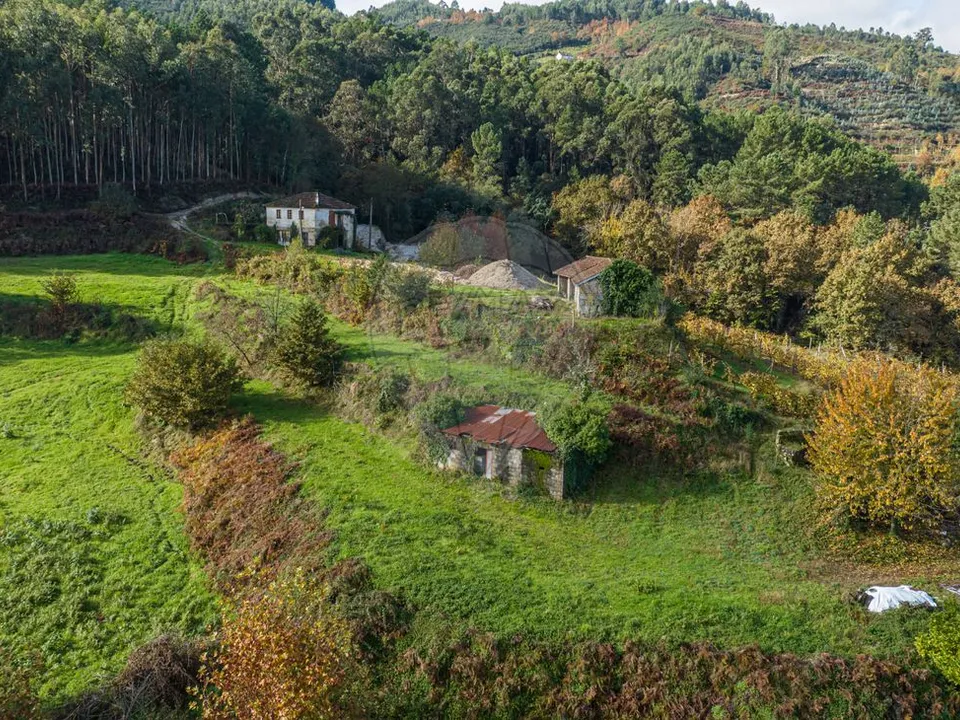 Farm i Celorico de Basto, Braga - foto 4