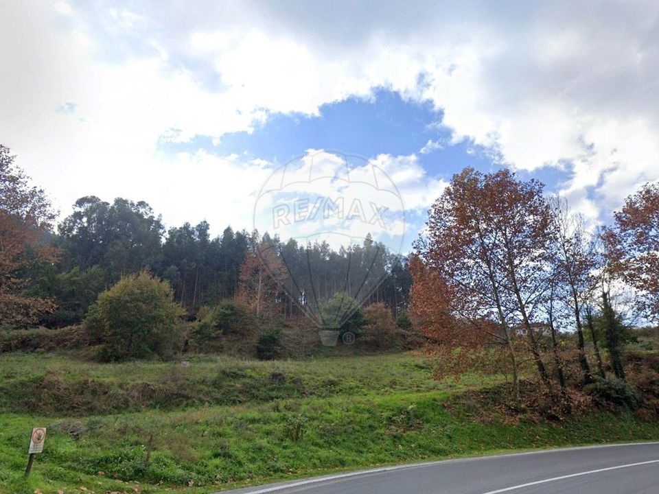 Farm i Celorico de Basto, Braga - foto 5
