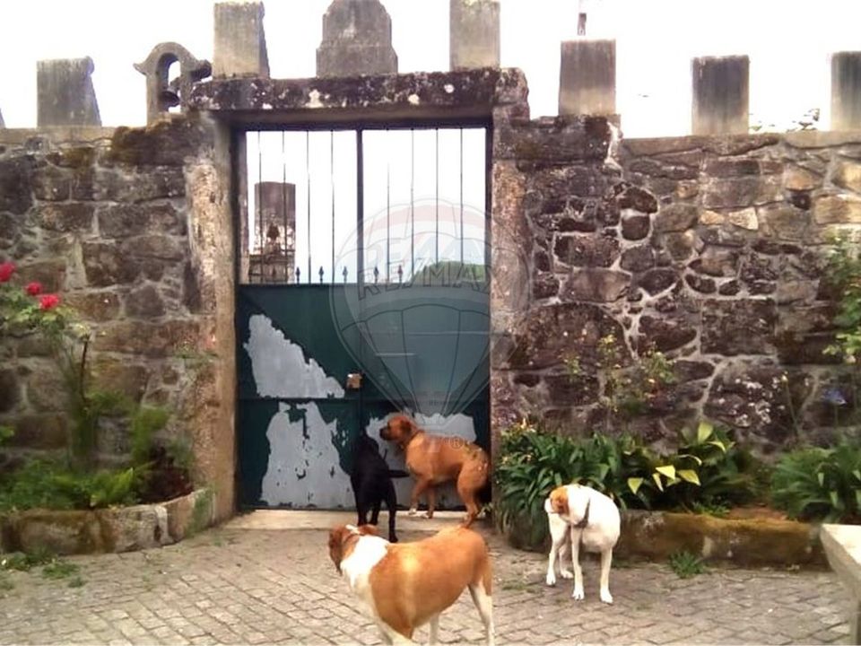Farm i Ponte de Lima, Viana do Castelo - foto 5