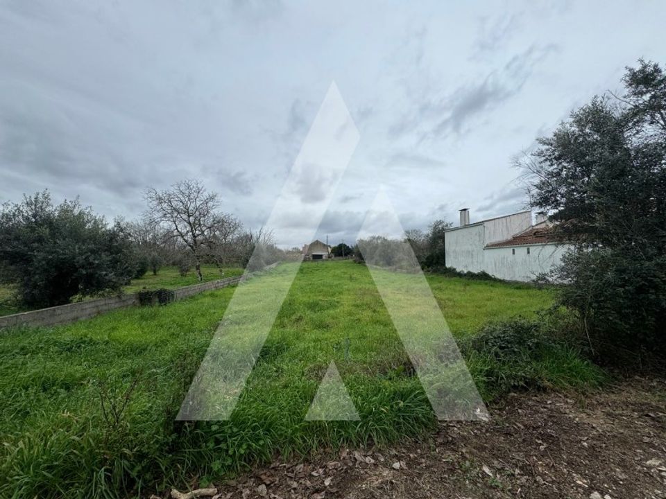 Helårsgrund i Alvaiazere, Leiria - foto 3