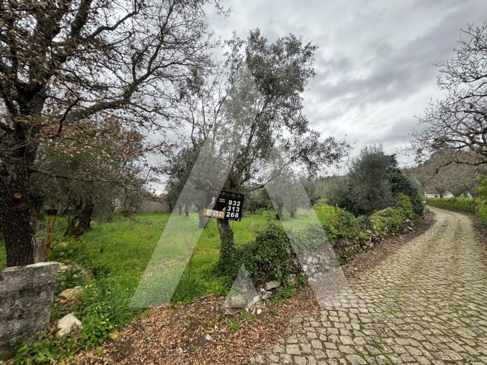 Helårsgrund i Alvaiazere, Leiria - foto 1