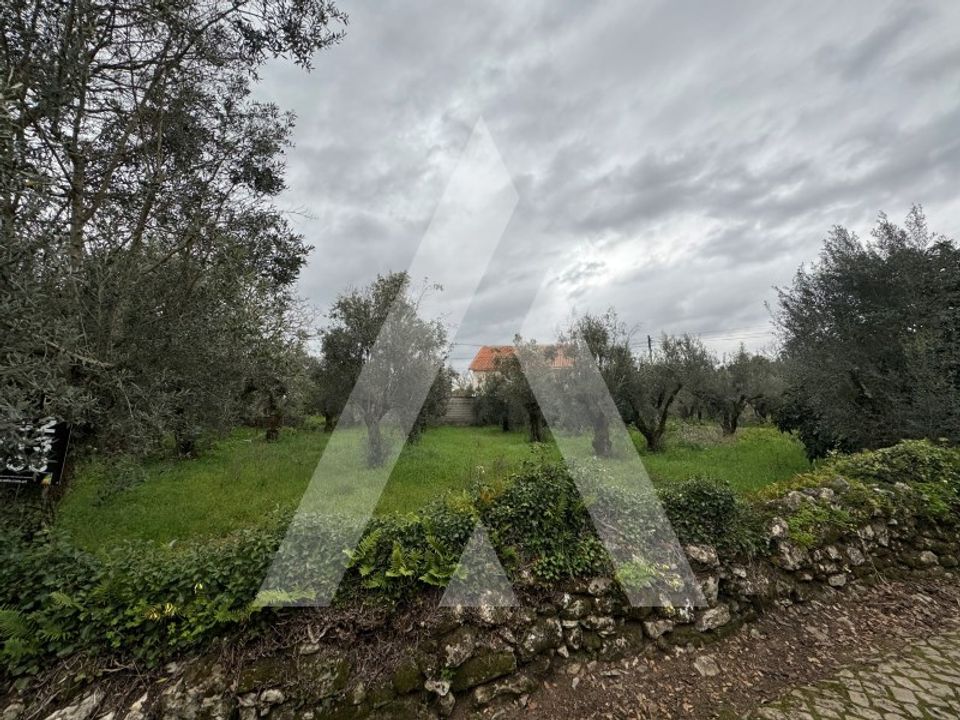 Helårsgrund i Alvaiazere, Leiria - foto 3
