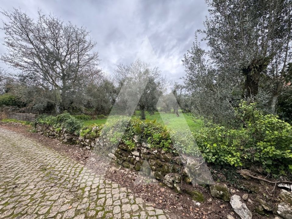Helårsgrund i Alvaiazere, Leiria - foto 4