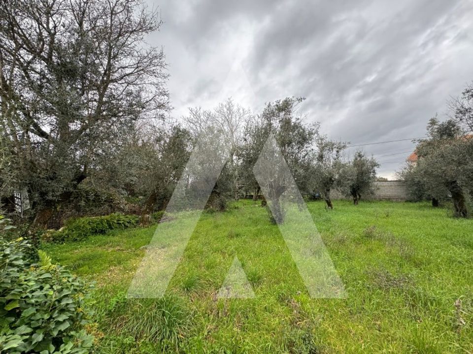 Helårsgrund i Alvaiazere, Leiria - foto 5
