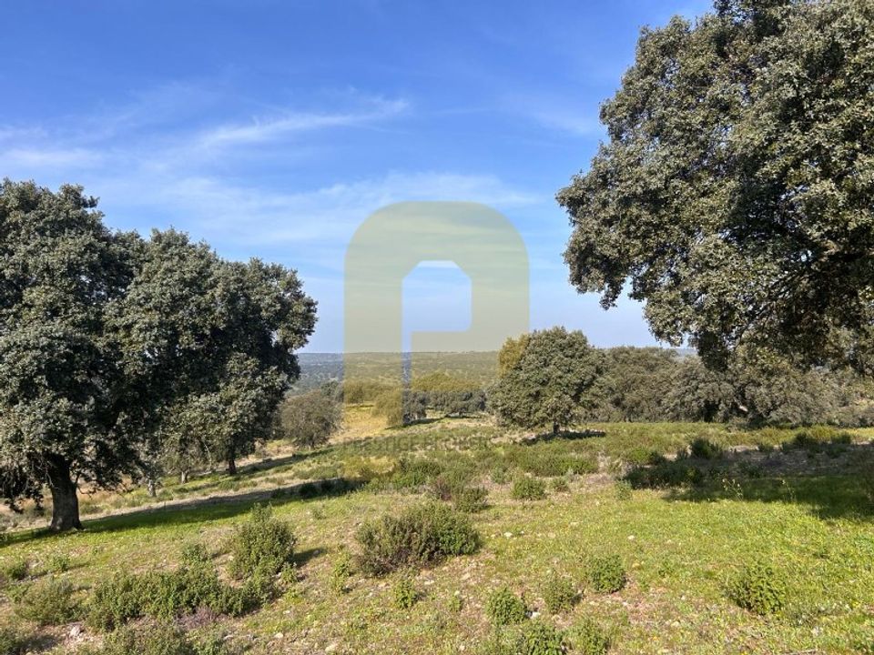 Landejendom i Rosmaninhal, Castelo Branco - foto 2