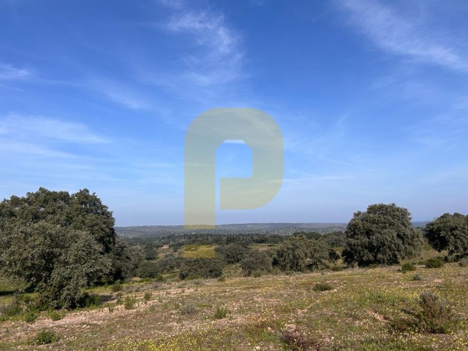 Landejendom i Rosmaninhal, Castelo Branco - foto 3