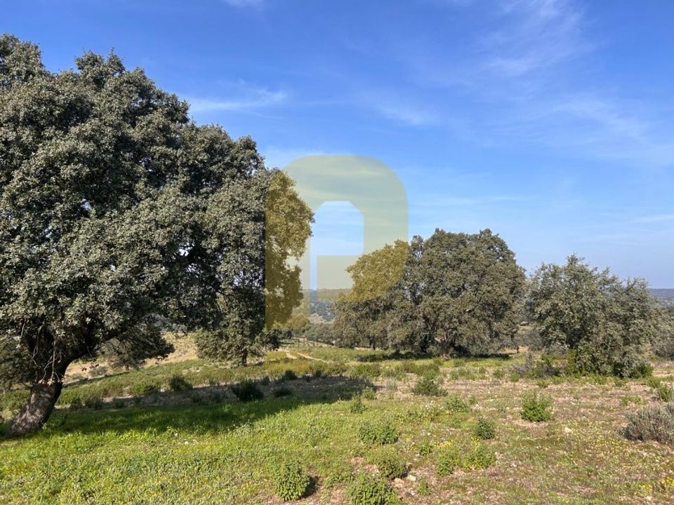 Landejendom i Rosmaninhal, Castelo Branco - foto 1