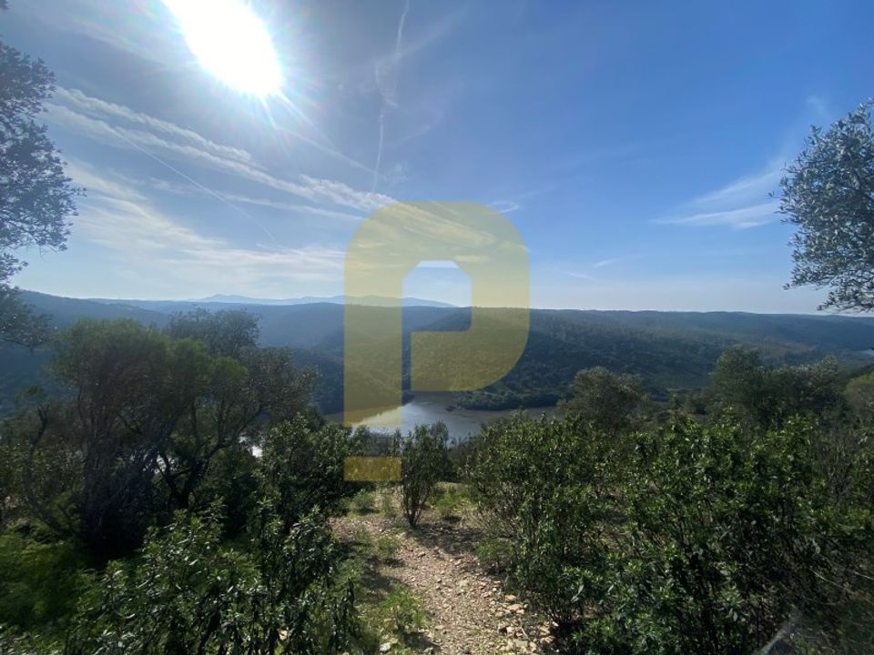 Helårsgrund i Rosmaninhal, Castelo Branco - foto 1