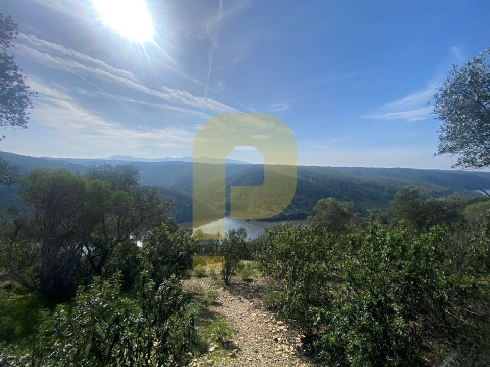 Helårsgrund i Rosmaninhal, Castelo Branco - foto 5